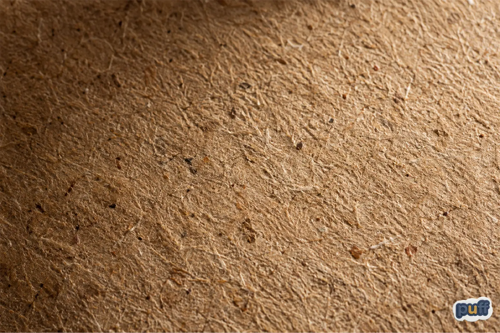 Kraft paper fiber texture Close-up of unbleached kraft paper, with loose wood-pulp fibers and dark flecks across a warm brown surface.