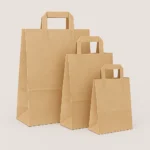 Product image featuring three brown paper bags in small, medium, and large sizes. Each bag has a rectangular base and two sturdy handles. Arranged in a row against a gradient background that transitions from dark to light, highlighting the natural texture and earthy tone of the bags. Ideal for eco-friendly packaging, sustainable branding, and retail presentation.